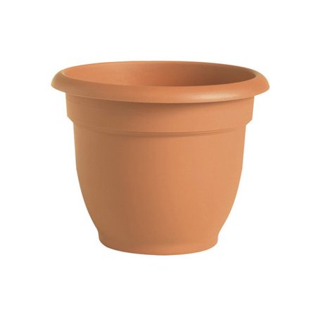 ARIANA POT TRCOT 6"