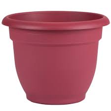 Plntr Ariana Unionred16"