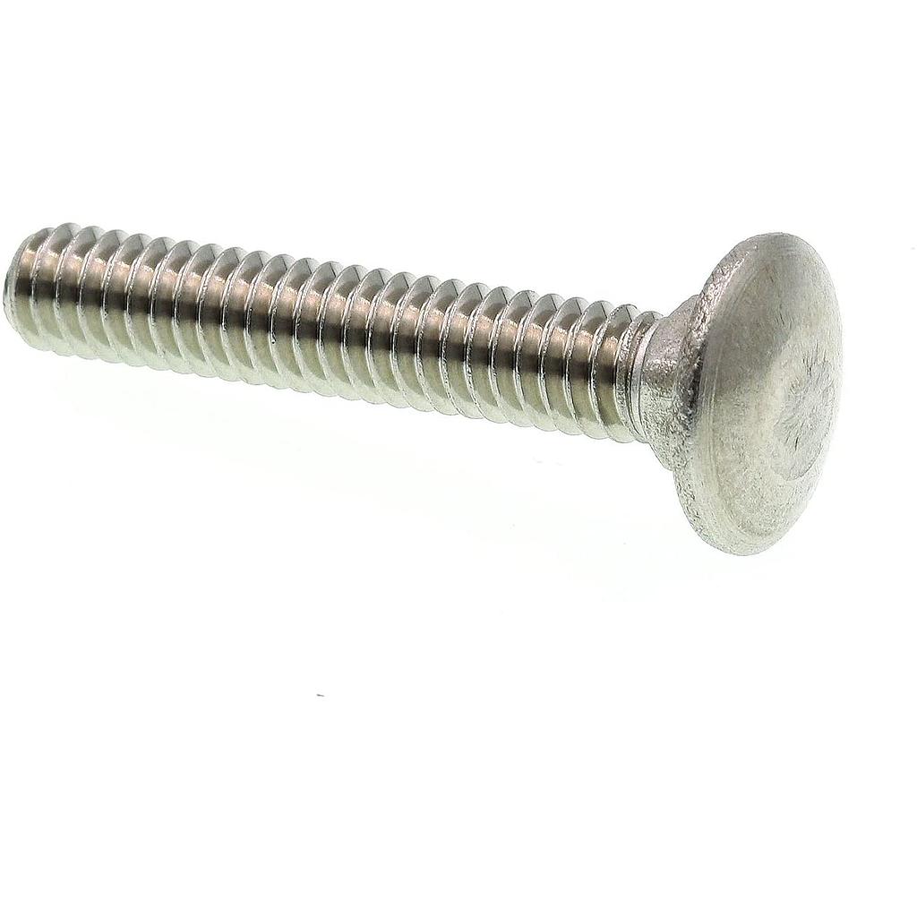 CARRIAGE SCREWS SS 1/4-20X1-1/4