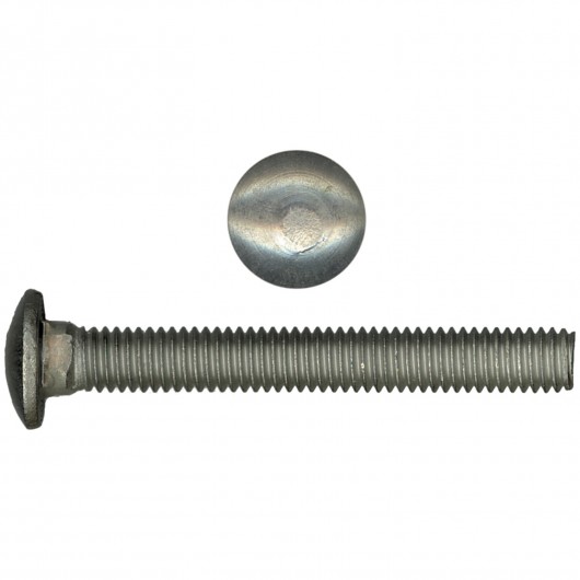 CARRIAGE SCREWS SS 1/4-20X3