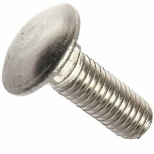 CARRIAGE SCREWS SS 5/16-18X3