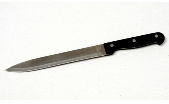 Chef Craft 8 in. L Stainless Steel Carving Knife 1 pc