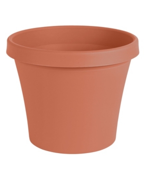 TERRAPOT TRCOT 6"