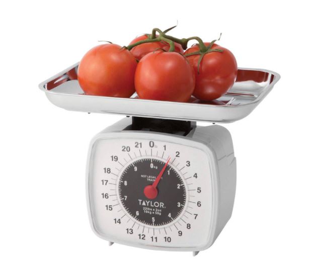 Taylor White Analog Kitchen Scale 22 lb.