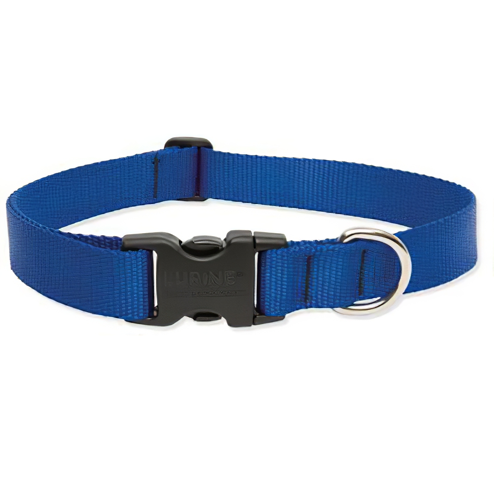 DOG COLLAR 9-14" ADJ BLU                