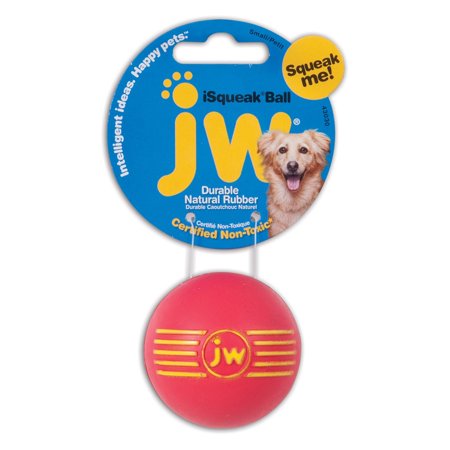 ISQUEAK BALL DOG TOY SM                 