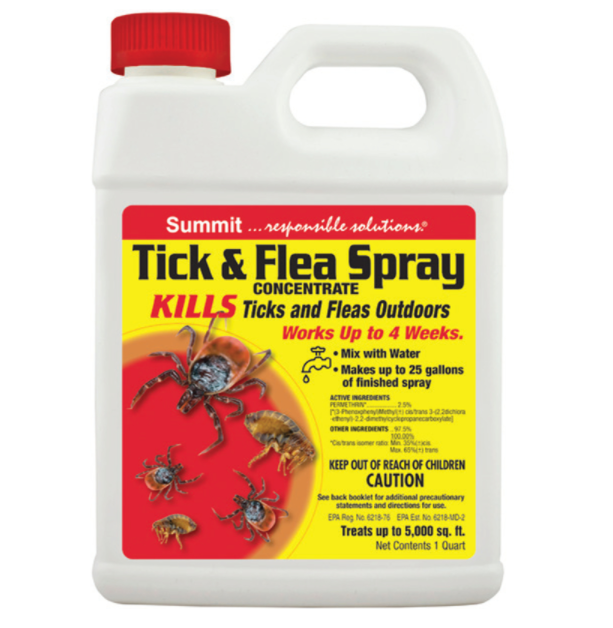 INSECT KILR LIQ CON 32OZ