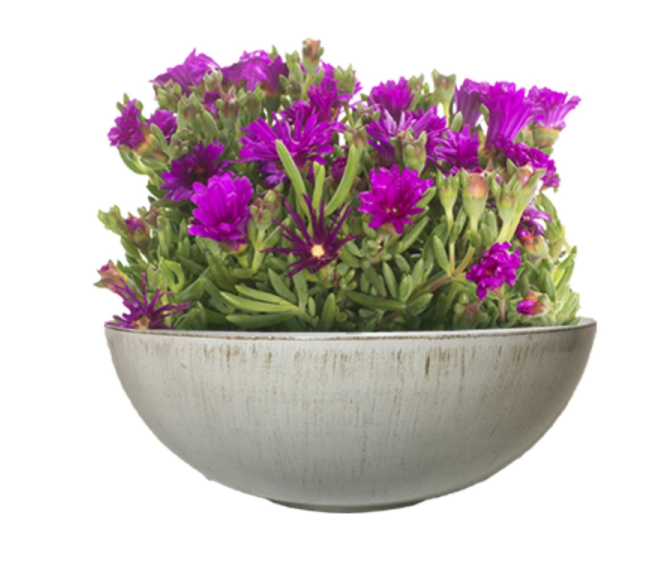BOWL PLANTER WHT 11.8"D