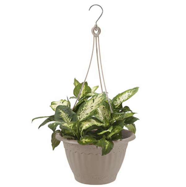 HANG BASKET CLAY 7.83"H
