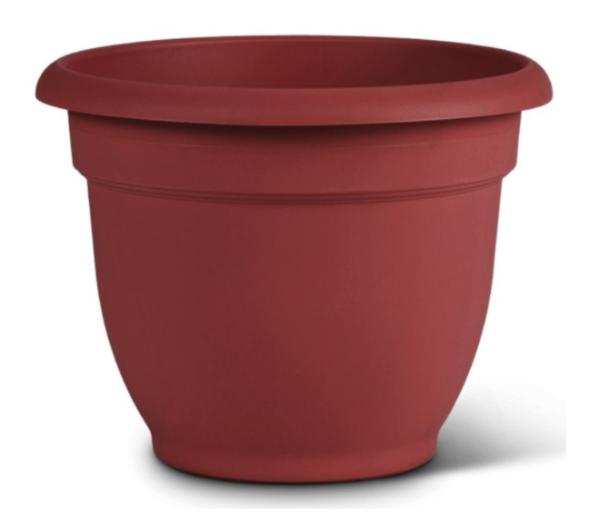 PLANTR ARIANA BRNT RD 8"