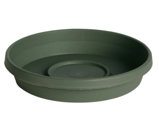TERRATRAY LIV GREEN 12"