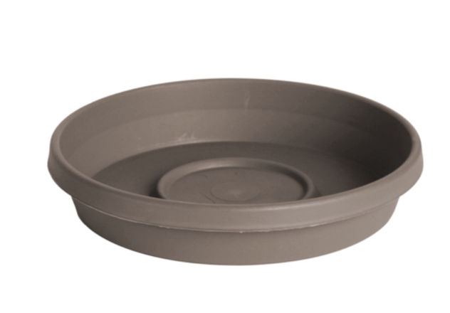 TRAY TERRA PBLSTN 8"