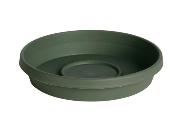 TERRATRAY LIV GREEN 8"