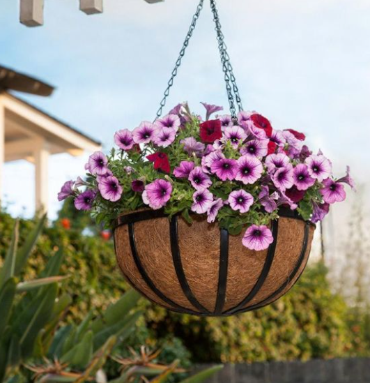 Metal Plant Hanger
