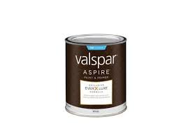 ASPR EXT FLT BW  1QT