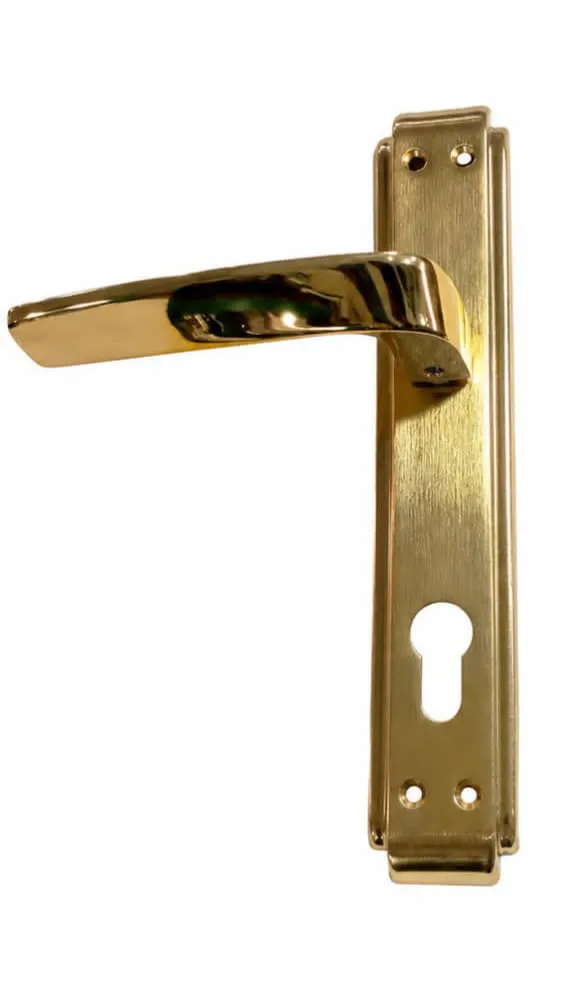 SAS27 VADI MGP 85MM CYL DOOR HANDLE