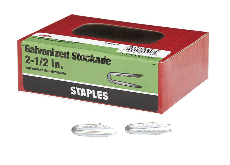 Fence Staple 2.5"Hg 1Lb