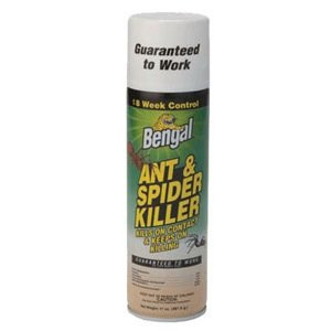 Ant&Spider Killr 17Oz