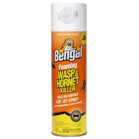 Foaming Wasp&Hornet18Oz