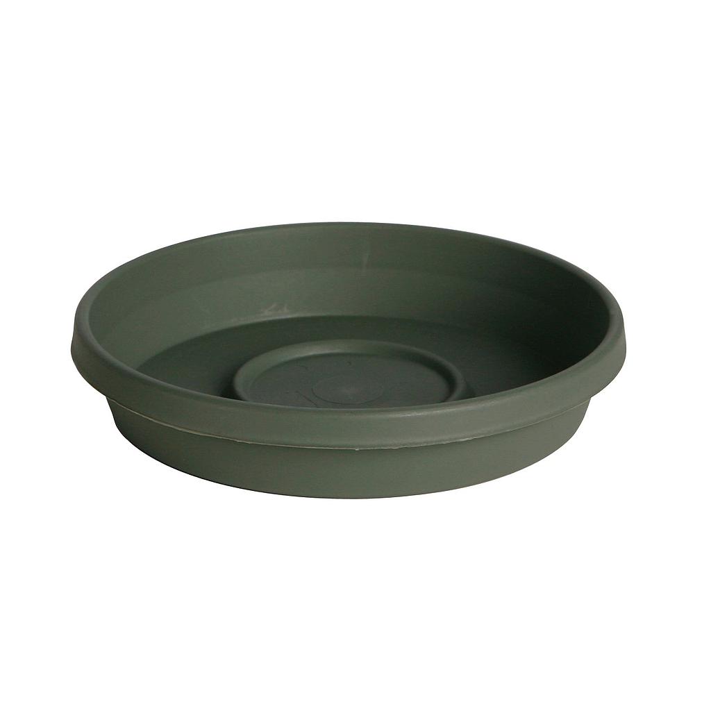 Terratray Thyme Green16"
