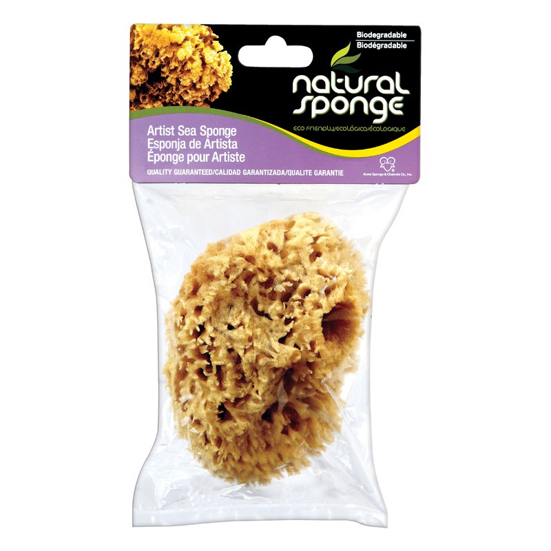 Sponge Painting 4-5"