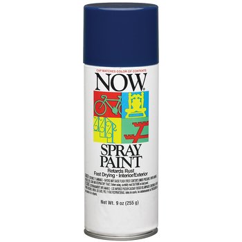 Now Spry Paint Blu 9Oz