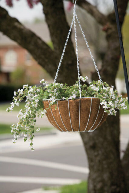 Planter Hang W/Linr14"Wh
