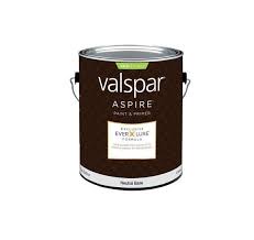 ASPR EXT SAT TNT NB 1GAL