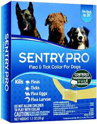 COLR FLEA&TICK DOG 24.5"