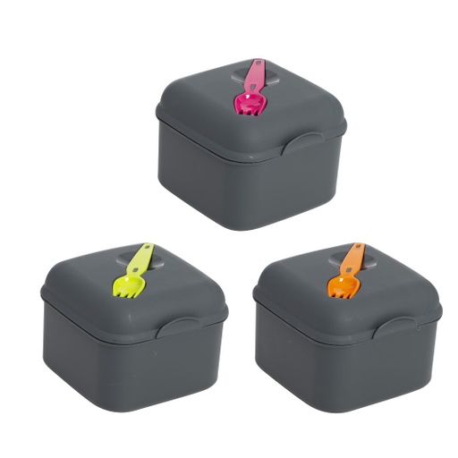 Salad Box- Combine Colours