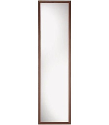 Mirror Door 14X54&quot;