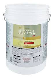 Ace Royal Flat Tintable Base, Acrylic Latex House Paint & Primer 5 gal