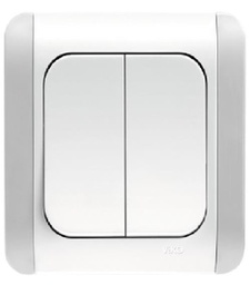 Double Pole S Switch