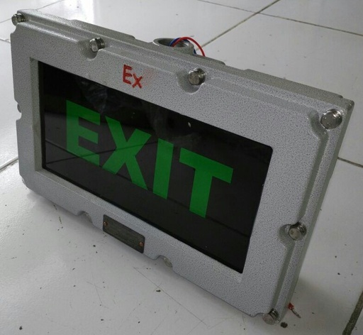 Exit Sign Light Green