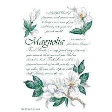 Fs Lg 18Pk Magnolia                     