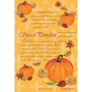 Fs Lg 18Pk Spiced Pumpkin               