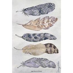 Fs Lg 18Pk Feathers