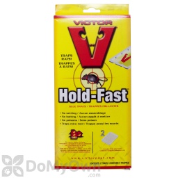 Rat Glue Tray 2 Pack Victor