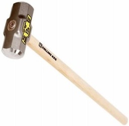 Sledge Dbl Face 10Lb