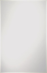 Renin Erias 30 in. H x 24 in. W Mirror