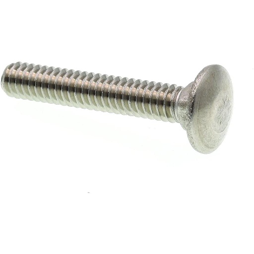 CARRIAGE SCREWS SS 1/4-20X1-1/4