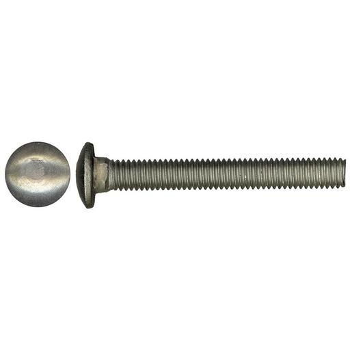 CARRIAGE SCREWS SS 1/4-20X4