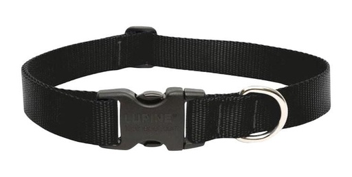 DOG COLLAR 12-20"ADJ BLK                