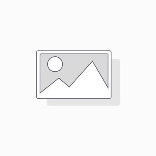 Ace Documentation Charges