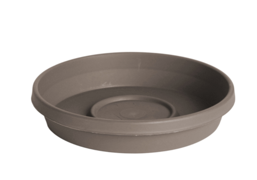 TRAY TERRA PBLSTN 12"