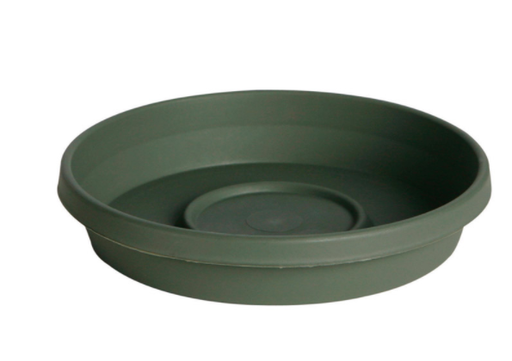 TERRATRAY LIV GREEN 8"