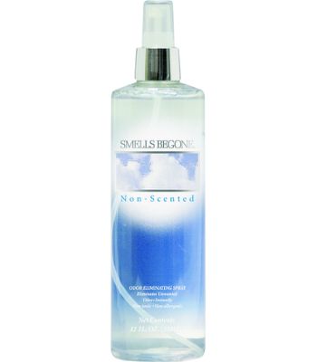 DEODORIZER 12 OZ SMELLS