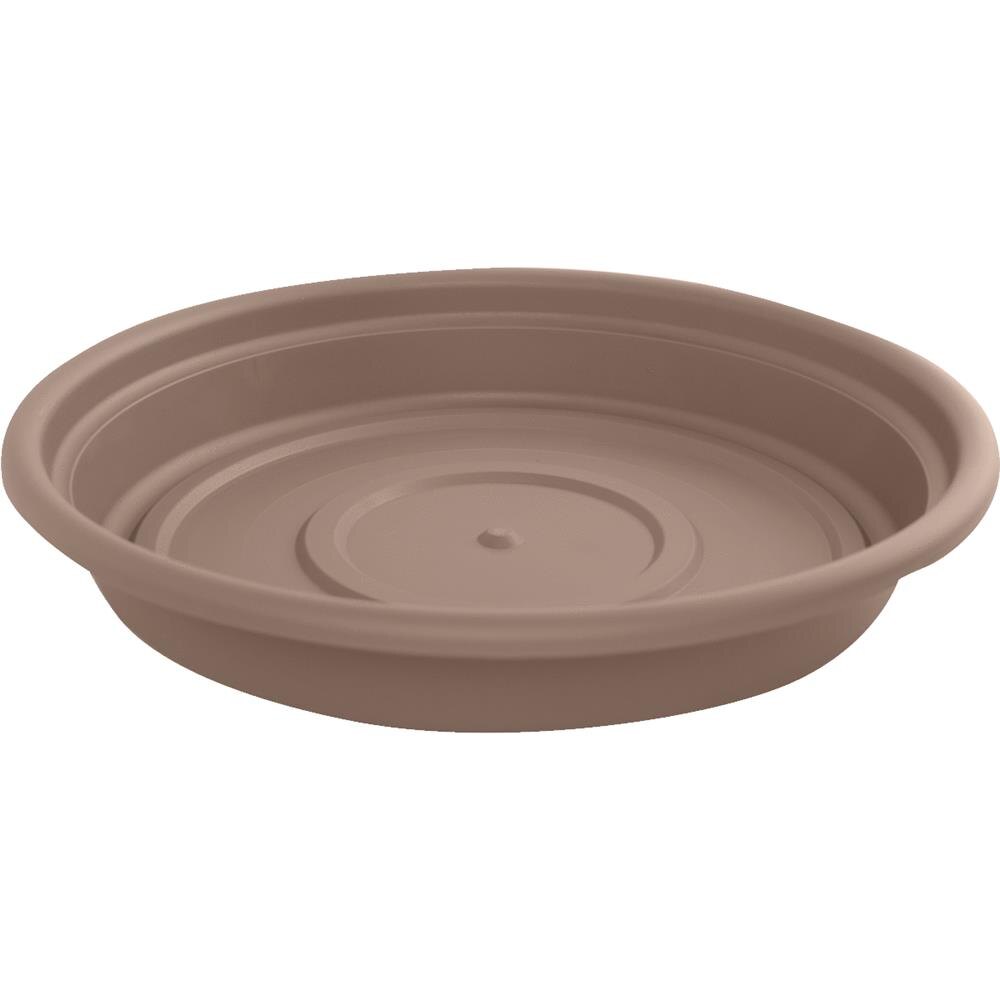 TERRATRAY CHOCOLATE 6"