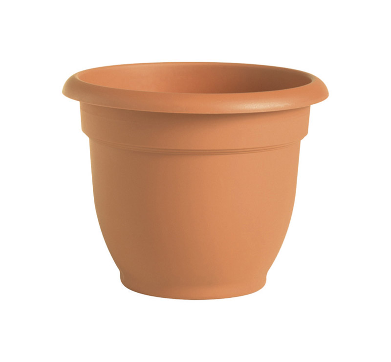 ARIANA POT TRCOT 10”