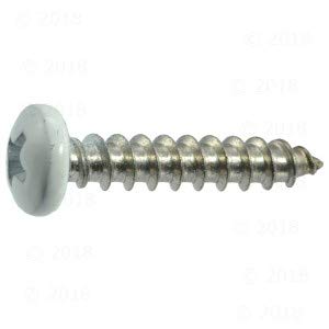 PAN PHL WH Z SMS 10X1  100 